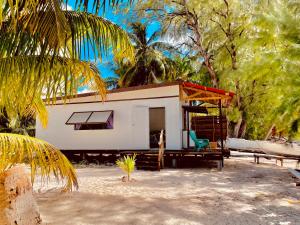 una casa con una hamaca delante en Tikehau cosy lodge en Tikehau