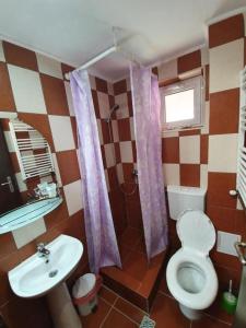 Um banheiro em Pensiunea Brandusa