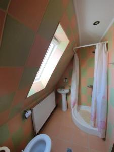 Ένα μπάνιο στο Pensiunea Brandusa