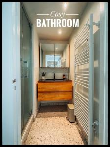 a bathroom with a sink and a mirror at CASA MARE hartje Oostende met gratis parking in Ostend