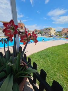 Bazén v ubytování Tondoris Apartments nebo v jeho okolí