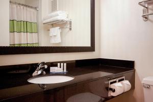 a bathroom with a sink and a mirror at Fairfield Inn by Marriott Forsyth Decatur in Forsyth