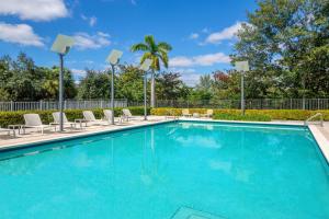 a swimming pool with chairs and a palm tree at Element Miami International Airport in Miami