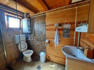 La salle de bains est pourvue de toilettes et d'un lavabo. dans l'établissement Brvnara Bata - Vikendica na Drini, à Lipnički Šor