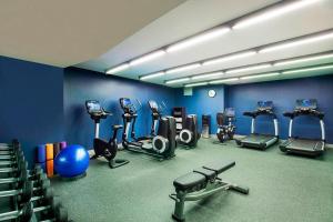 Gimnasio o instalaciones de fitness de Four Points by Sheraton New York Downtown