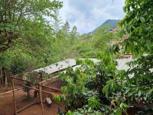 Casa Faisão في نوفا ليما: قفص الطيور في وسط الغابة