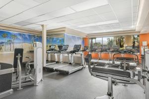 Fitness centrum a/nebo fitness zařízení v ubytování Marriott's Desert Springs Villas II