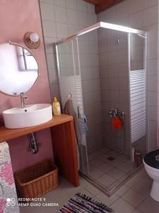 a bathroom with a shower and a sink and a mirror at zikos house in Monemvasia