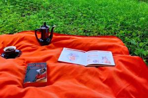 an orange blanket with two books and a tea pot and a cup at House by the river in Qǝçrǝş