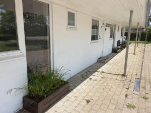 een veranda van een wit huis met planten bij Lejlighed Edelweiss in Svendborg