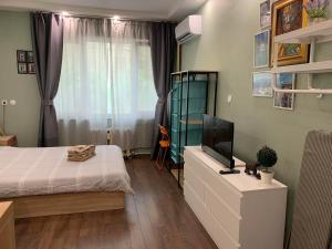 een slaapkamer met een bed en een televisie op een dressoir bij Exceptional Refurnished Studio TOP Location in Sofia