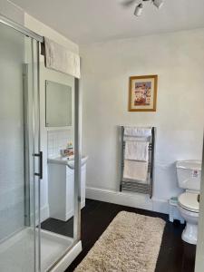 uma casa de banho com um chuveiro, um WC e um lavatório. em Newcourt Manor em Hereford