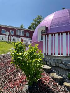 a purple and white dome next to a house at Dirndlhaus in Kirchberg an der Pielach