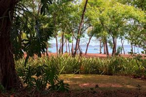 CulebraにあるEl Mangroove Papagayo, Autograph Collectionの海を背景にした木々