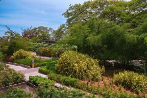 un jardín con plantas y árboles y una acera en El Mangroove Papagayo, Autograph Collection, en Culebra