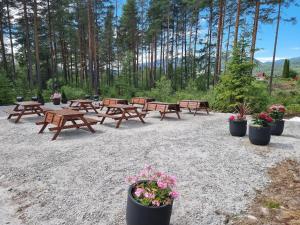 un grupo de mesas de picnic y flores en ollas en Bø Leiligheter, en Bø