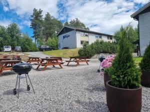 un grupo de mesas de picnic y bancos con flores en Bø Leiligheter, en Bø