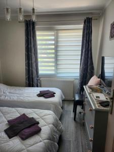 Provenchères-sur-Fave的住宿－Le domaine de shania，一间卧室配有两张床和一张带电脑的书桌