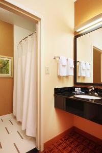 A bathroom at Fairfield Inn by Marriott Las Colinas