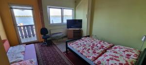 a bedroom with a bed and a tv and a window at Wasserskianlage Eilenburg in Eilenburg +4 photos