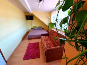 a living room with a couch and a bed at Pokoje nad morzem Mikoszewo in Nickelswalde