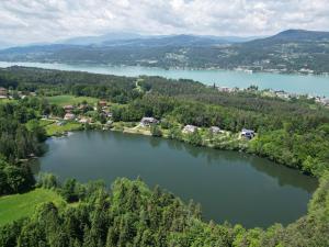 an aerial view of a lake with trees at Landgasthof Trattnig in Schiefling am See