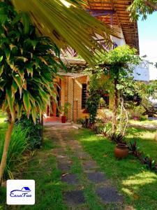 un camino de jardín que conduce a una casa con una palmera en Casa Tua Pipa, en Pipa