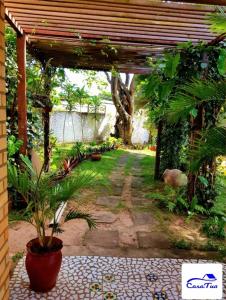 a garden with a wooden pergola and a plant at Casa Tua Pipa in Pipa