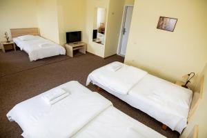 Postel nebo postele na pokoji v ubytování Hotel Tomas