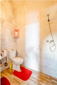 a bathroom with a toilet and a shower at Elaaz Horse Farm in Azemmour