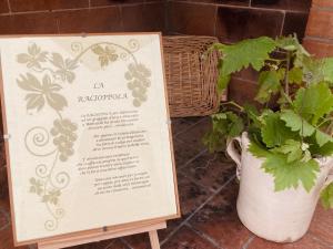 a sign next to a potted plant and a basket at La Racioppola in Ostuni