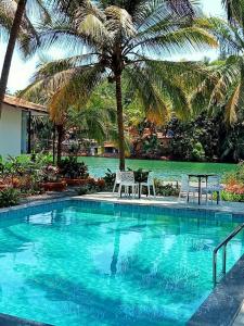 - une piscine avec 2 chaises et un palmier dans l'établissement Pont Bleu Suites, à Canacona