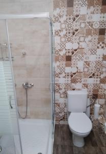 La salle de bains est pourvue de toilettes et d'une douche en verre. dans l'établissement View apartment 2, à Katakolon