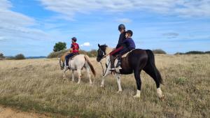 two people riding on horses in a field at Gîtes à la Ferme - Hautes-Corbières in Termes