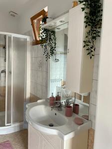y baño con lavabo blanco y ducha. en Istrian house Casa del nonno, en Šmarje