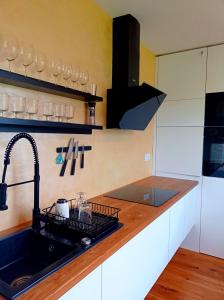 Kuchyň nebo kuchyňský kout v ubytování Jelení apartmán Rychlebské stezky
