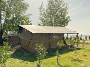 Příroda nedaleko aparthotelu