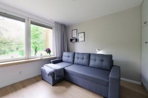 salon z niebieską kanapą i oknem w obiekcie Telimeny 31 w Krakowie