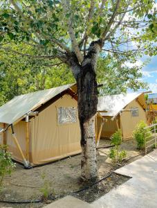Fotografie z fotogalerie ubytování Mareleon Camping v destinaci Ofrynio