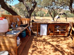 an outdoor kitchen with a sink and a tree at Lost Paradise - A night into the Alentejo! in Sabóia
