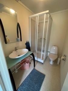 La salle de bains est pourvue d'un lavabo et de toilettes. dans l'établissement Långrösta 48-49, Appartementen in Hagfors, à Hagfors