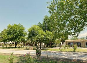 Zahrada ubytování Mareleon Camping