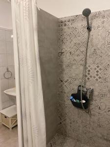 a shower with a shower curtain in a bathroom at Apartmani Maximus in Subotica