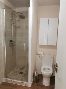 La salle de bains est pourvue de toilettes et d'une douche en verre. dans l'établissement Les pléiades, à Fort-Mahon-Plage