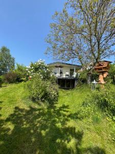 BenshausenBergchalet Löwenzahn的坐落在郁郁葱葱的绿色田野上的房子