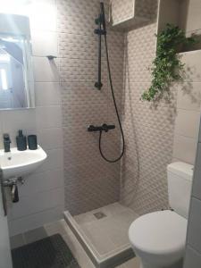 Koupelna v ubytování Family & friends Maisonette in the center of Lixouri