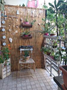 A garden outside La Casetta - Near the sea & free parking