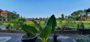 una grande pianta verde in un cortile con cortile di Kun - Kun Guest House Ubud ad Ubud