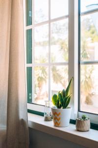 Fotografie z fotogalerie ubytování The Kitesurf Lodge v destinaci Casal do Narcizo