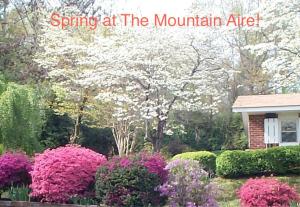 Mountain Aire Cottages & Inn في كلايتون: حديقة فيها ورد وردي وعلامة تقول ربيع في الجبل اكل